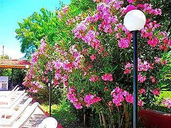 Otel The Valley Cedit